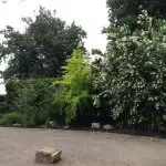 GaLaBau Lünen: Außenanlagen und Gartengestaltung