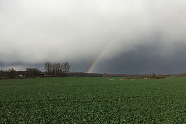 Grünflächen Bewässerung